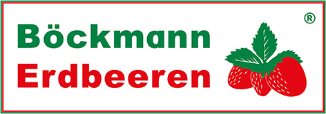 Böckmann Erdbeeren Logo - grüner Schriftzug Böckmann und roter Schriftzug Erdbeeren. Als Symbol sind drei gezeichnete rote Erdbeeren und grünes Blattgrün zu sehen. Das Logo und der Schriftzug werden rechteckig von einem grün-roten Rechteck umrahmt.